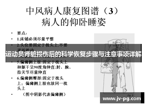 运动员肾脏损伤后的科学恢复步骤与注意事项详解 运动员肾脏损伤后的科学恢复步骤与注意事项详解