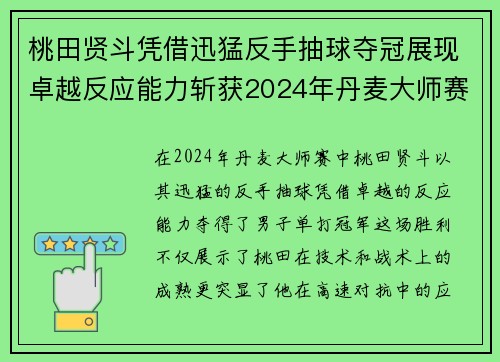 桃田贤斗凭借迅猛反手抽球夺冠展现卓越反应能力斩获2024年丹麦大师赛胜利